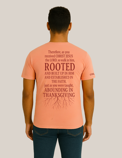 Rooted - Fruit of Grace